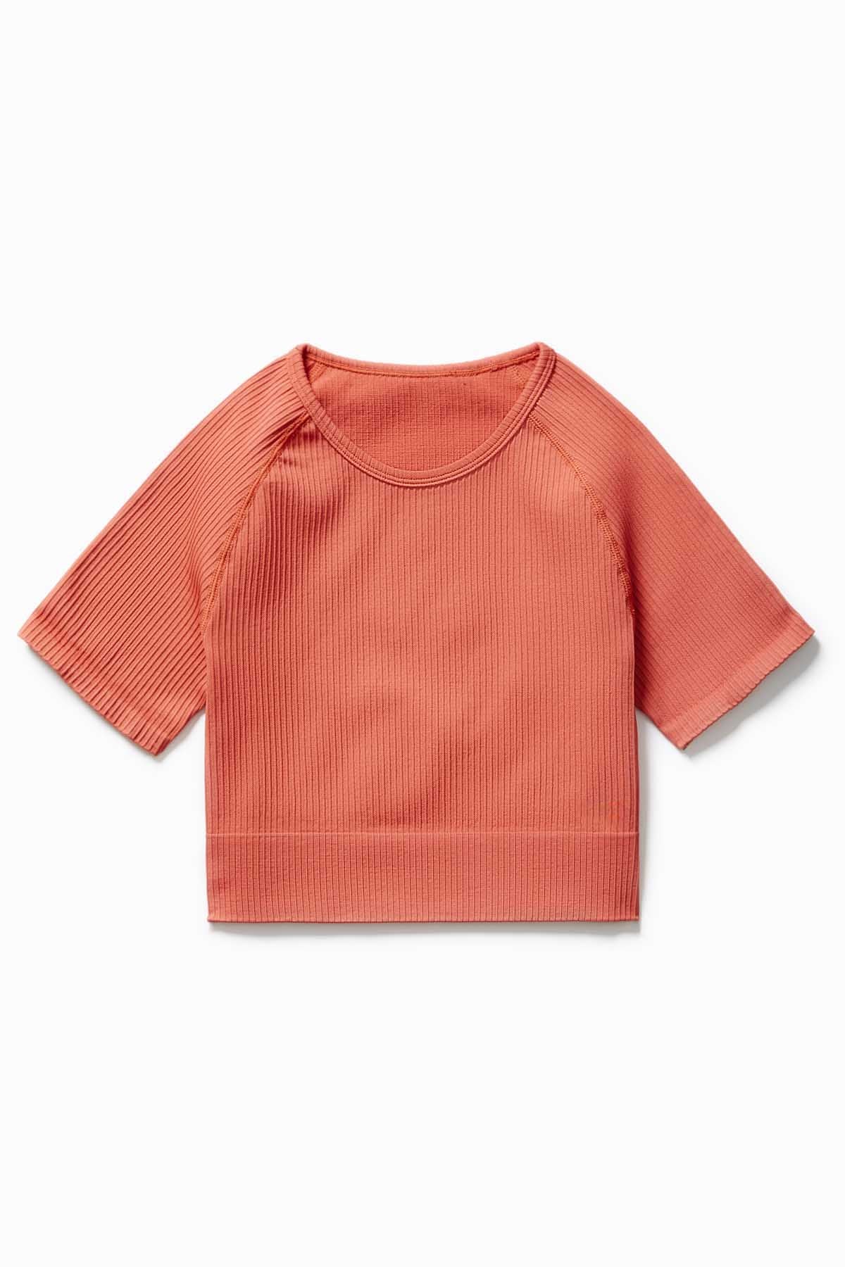 Ribbed Seamless Crop Tee - Craftklart.store