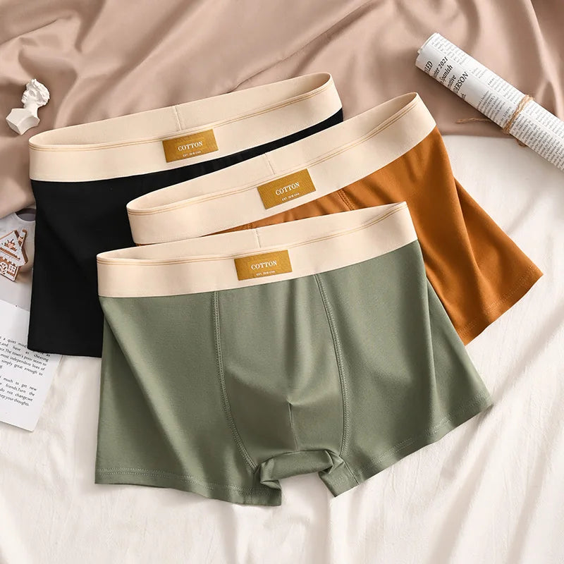 3PCS Cotton Breathable Comfortable Boxer Shorts - Premium Boxer from Craftklart Dropship - Just $6.94! Shop now at Craftklart.store