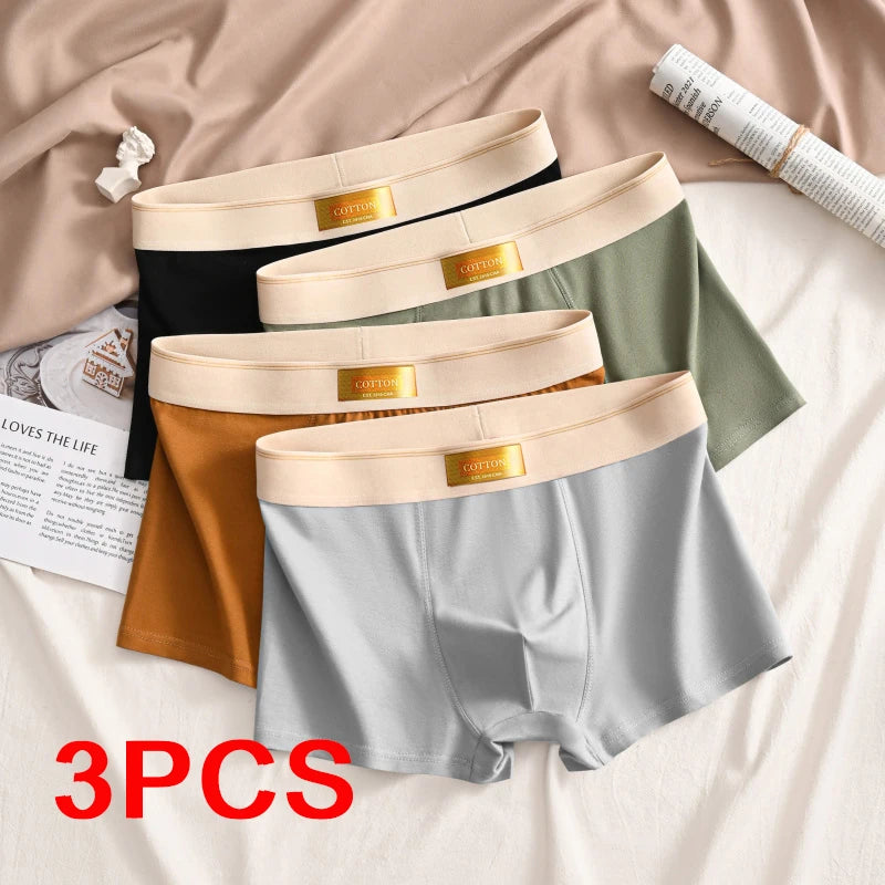 3PCS Cotton Breathable Comfortable Boxer Shorts - Premium Boxer from Craftklart Dropship - Just $6.94! Shop now at Craftklart.store