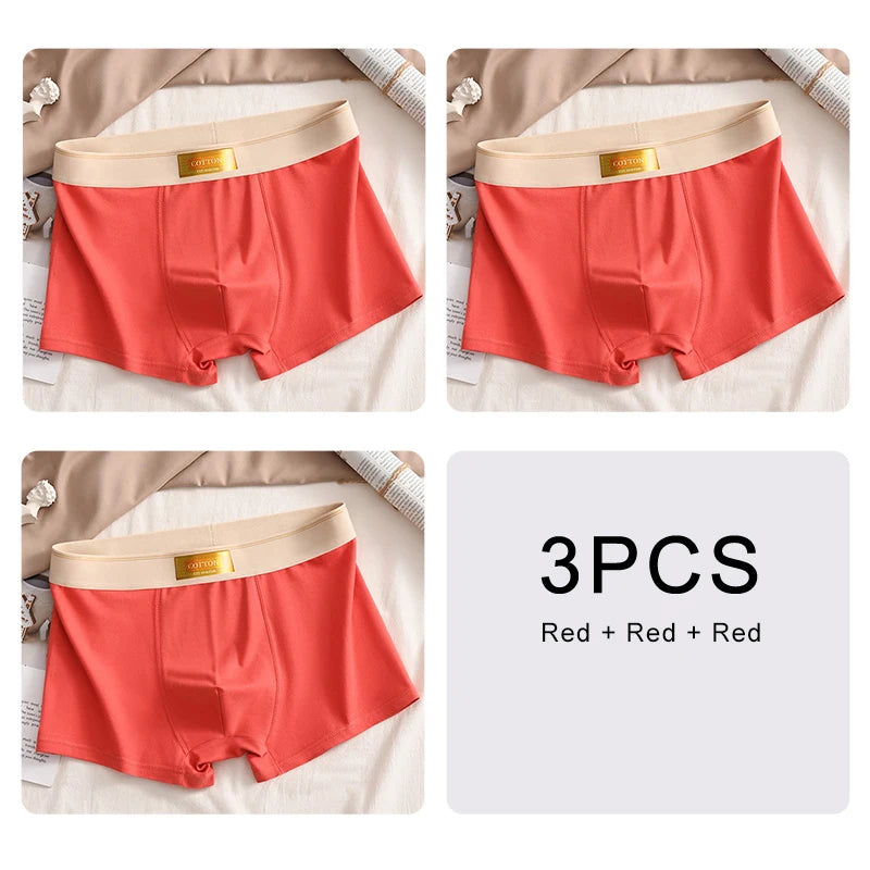 3PCS Cotton Breathable Comfortable Boxer Shorts - Premium Boxer from Craftklart Dropship - Just $6.94! Shop now at Craftklart.store