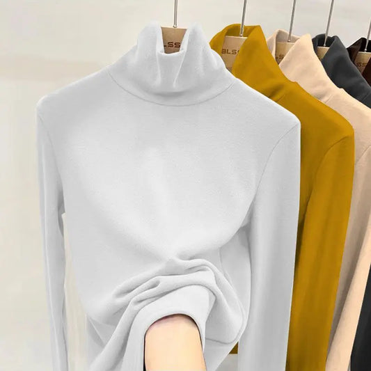Solid Color Turtleneck Pullover