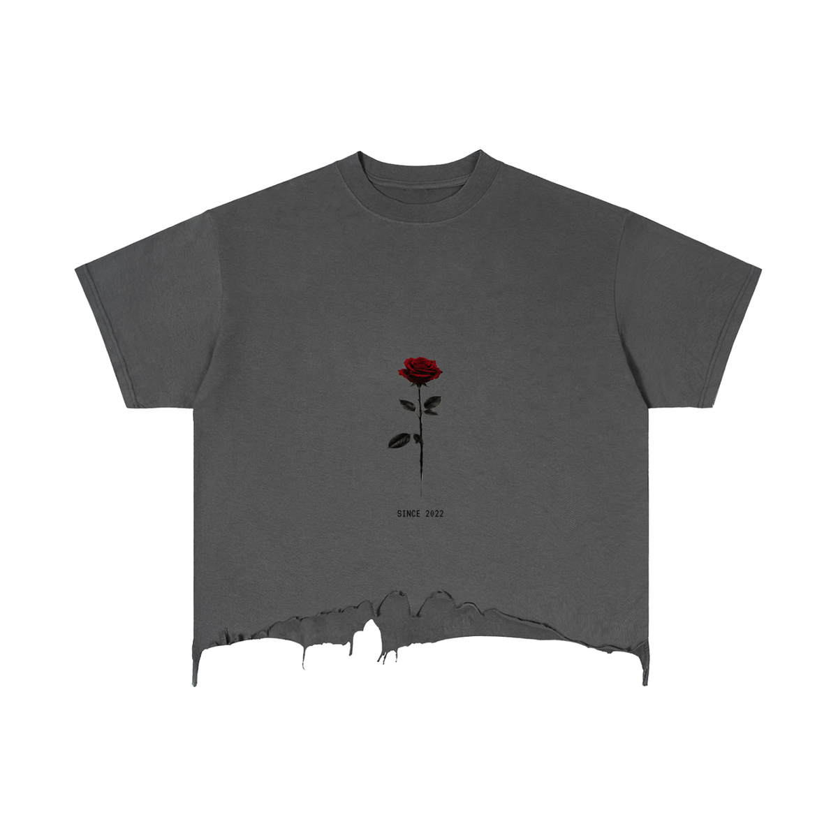English Rose Distressed Boxy Tee